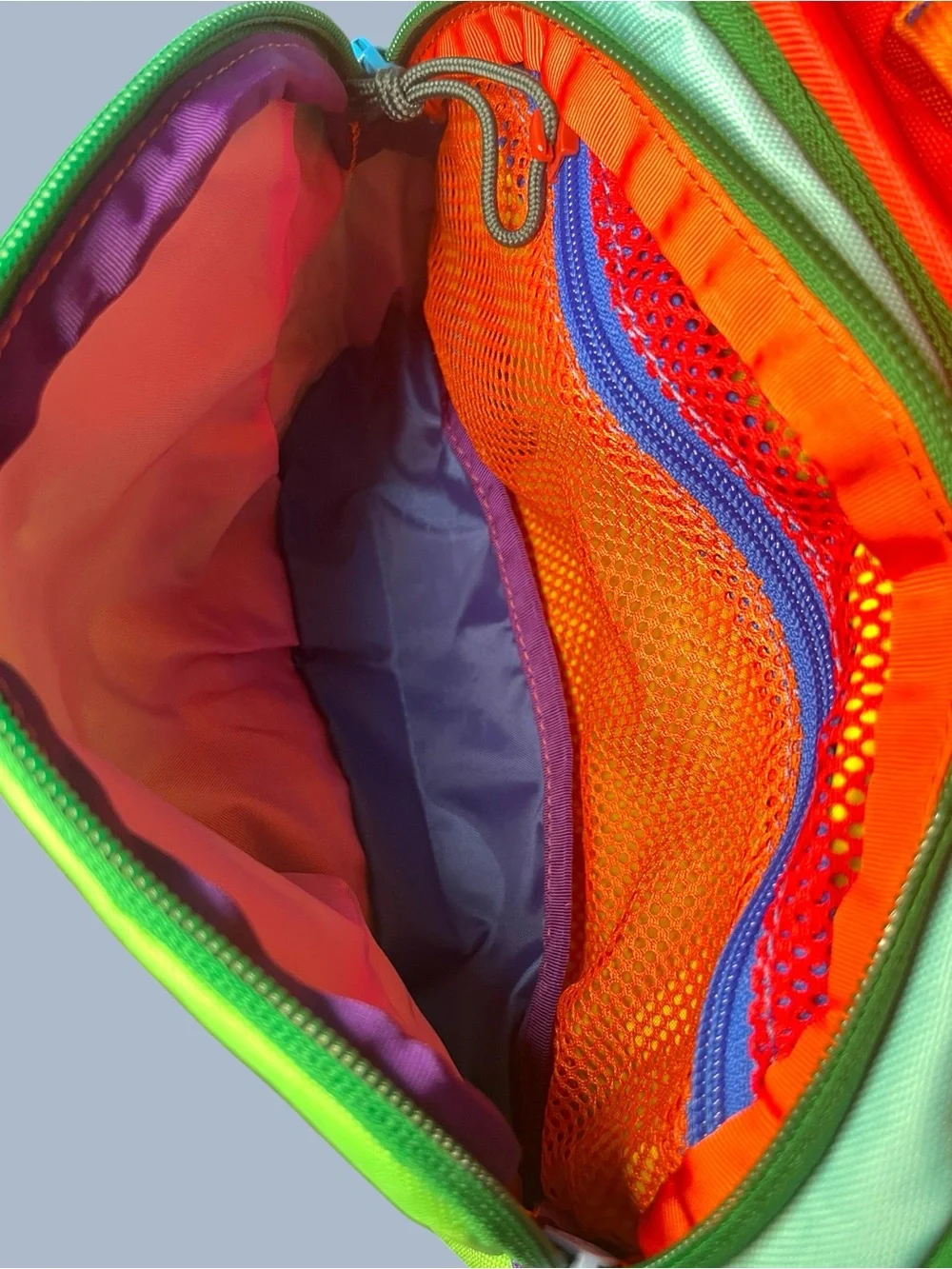 NWT Cotopaxi Allpa 20L Del Dia Green Backpack